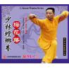 梅花路--少林螳螂拳   1VCD