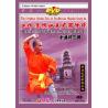 小通臂三路--少林传统功夫老架捶谱   1DVD